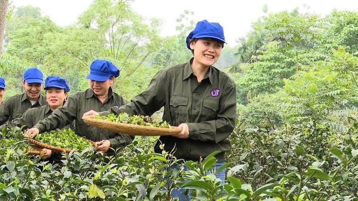 Mở thêm cánh cửa thị trường cho sản phẩm của phụ nữ miền núi - Ảnh 2.