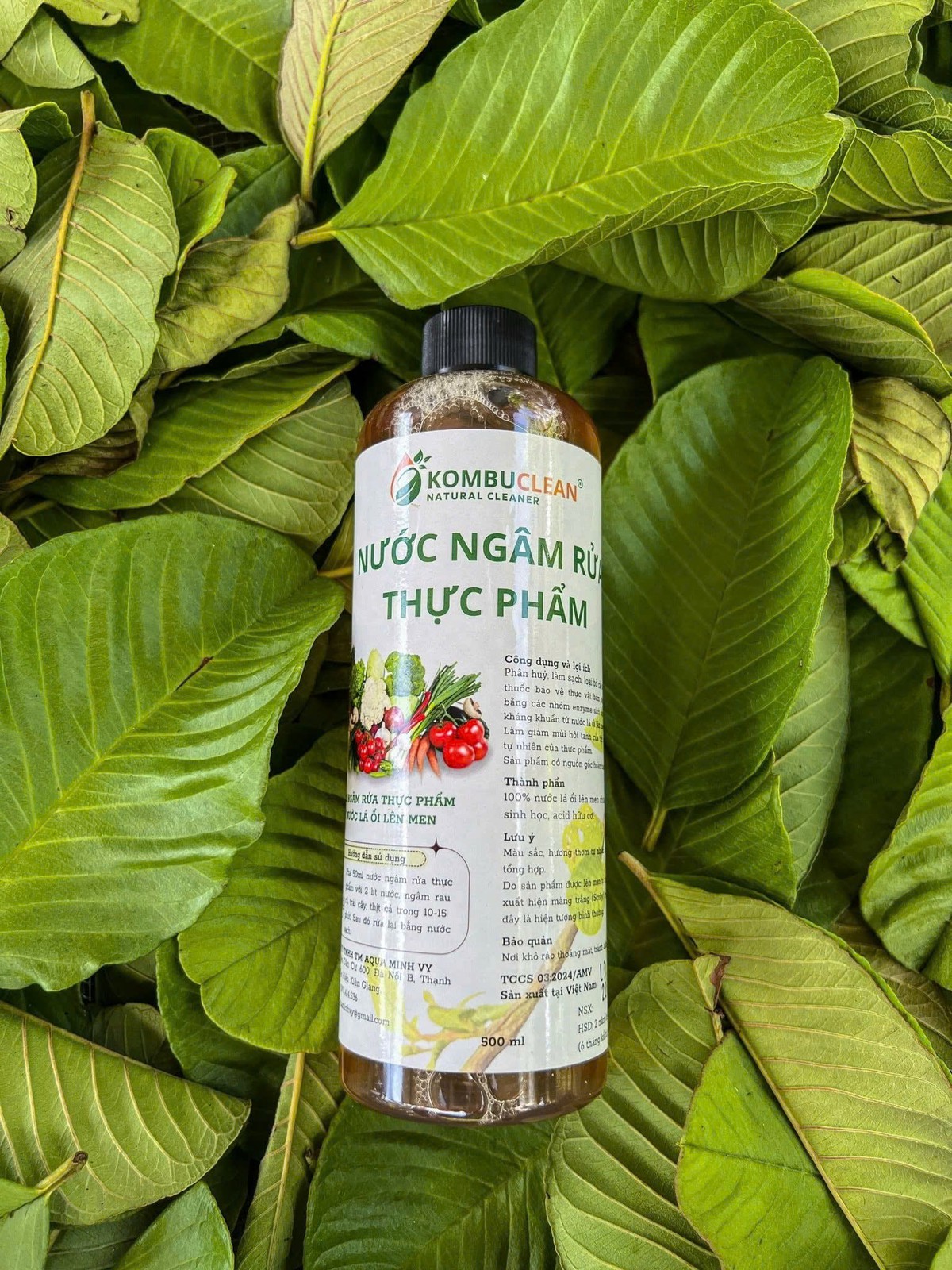 Biến lá ổi thành sản phẩm khởi nghiệp - Ảnh 1.