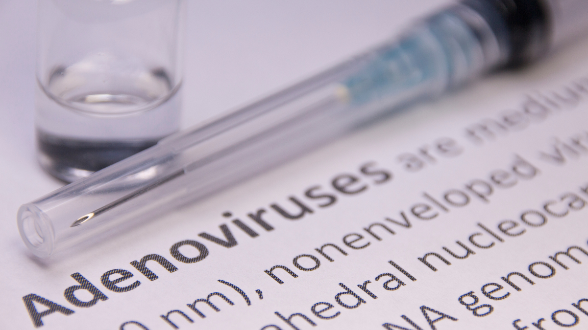 Bé trai 4 tuổi sốt cao khó kiểm soát, phát hiện nhiễm Adenovirus - Ảnh 2.