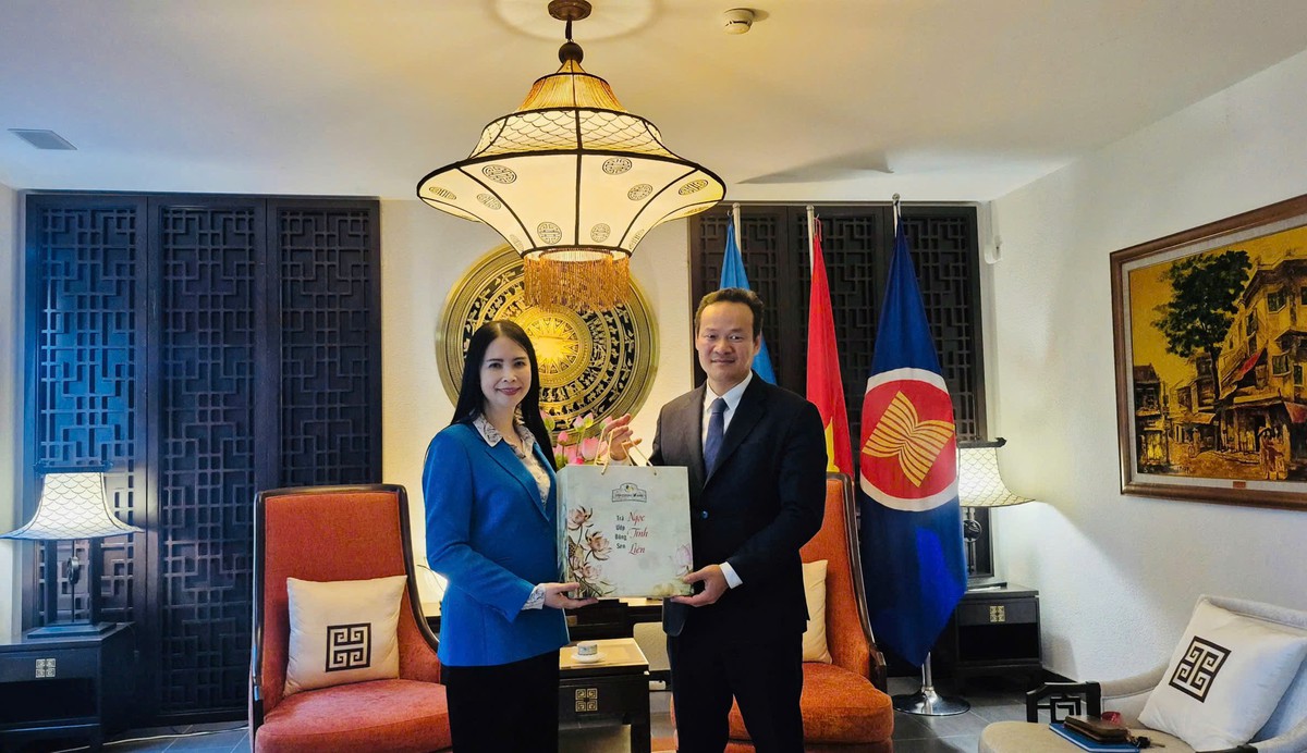 Đoàn công tác Hội LHPN Việt Nam và TYM thăm Phái đoàn Thường trực Việt Nam tại Geneva - Ảnh 3.