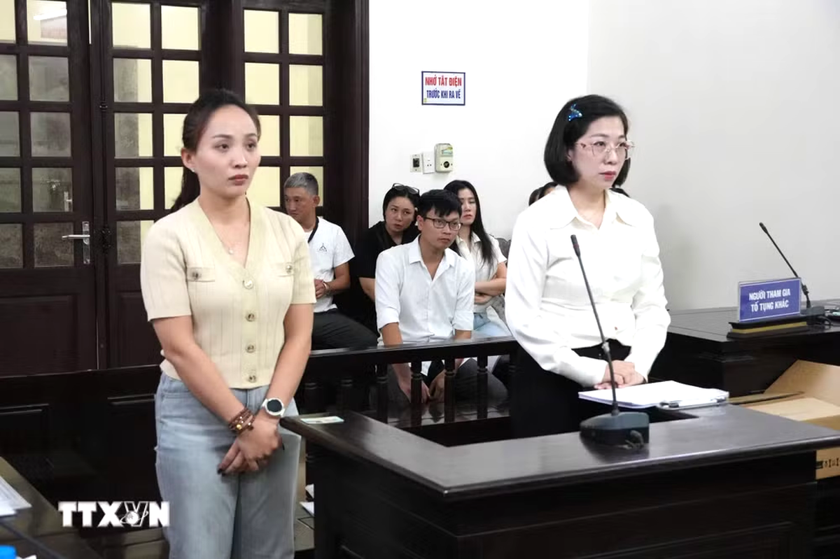 Hà Nội: Phạt tù 2 bị cáo trong vụ "tranh chấp khoảng không" ở đường Trần Khát Chân- Ảnh 1.