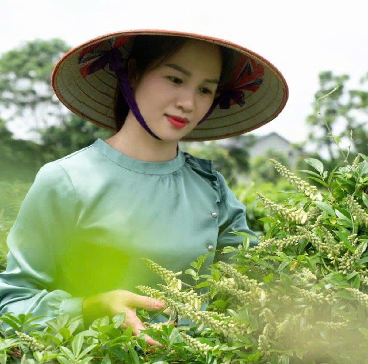 Phụ nữ khởi nghiệp từ tài nguyên bản địa: Đánh thức giá trị từ quê hương - Ảnh 2.