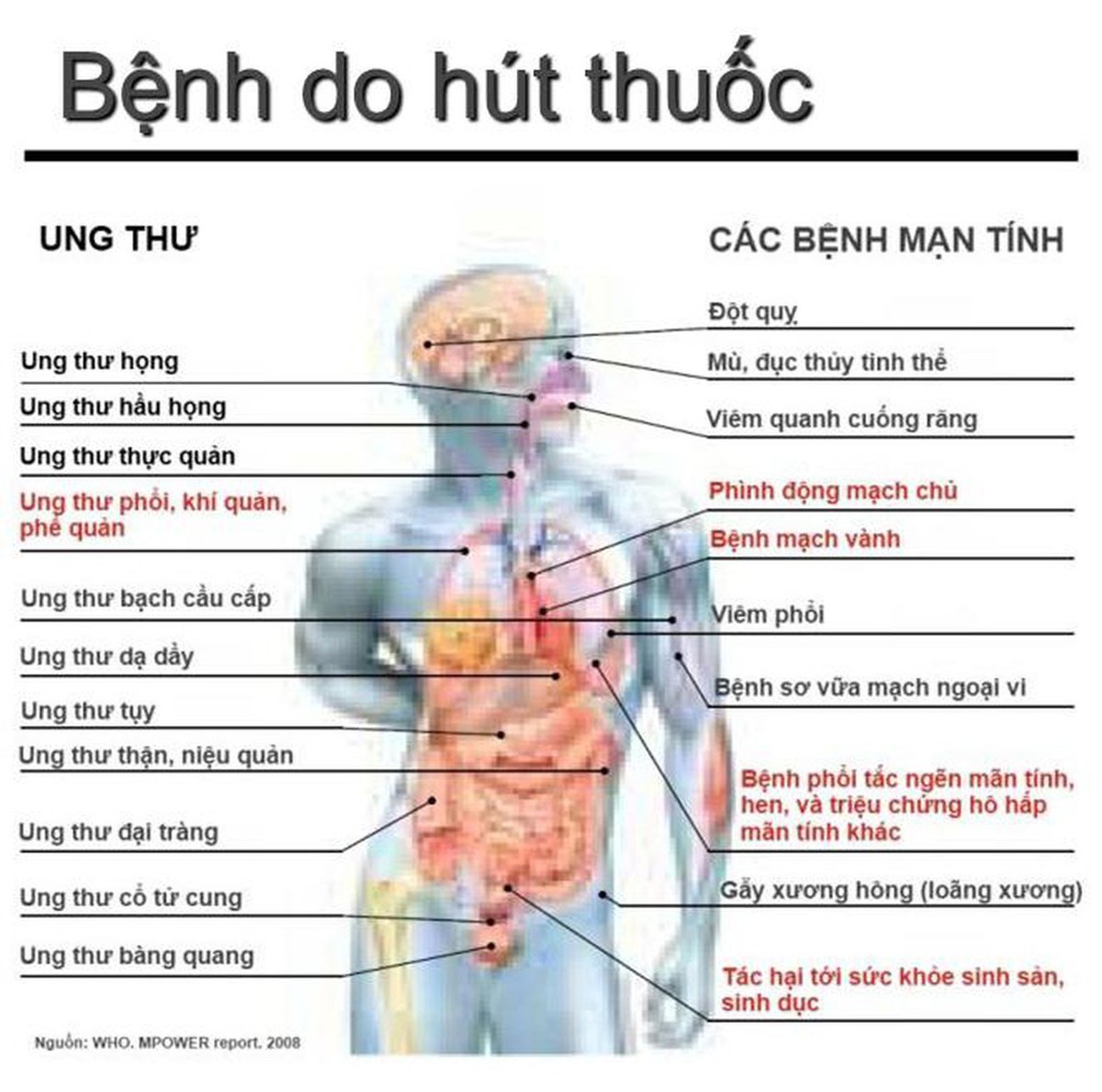 Phát hiện con nghiện thuốc lá điện tử, cha mẹ cần làm gì? - Ảnh 2.