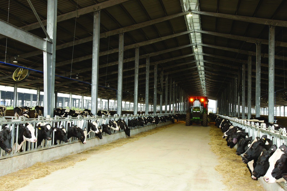 Chăm sóc sức khỏe đàn bò bằng công nghệ cao, thúc đẩy chăn nuôi phát thải thấp tại TH true MILK - Ảnh 2.