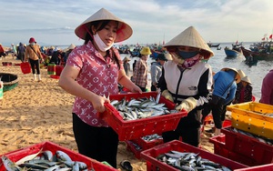 Người Quảng Bình quyên góp cá ủng hộ vùng dịch  TPHCM