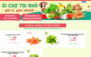 Các sàn thương mại điện tử lớn vào cuộc cung ứng hàng hóa cho các tỉnh phía Nam