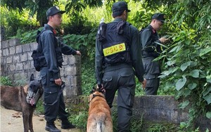 Cô gái mất tích hơn 100 ngày ở Hà Nội: Cảnh sát 3 lần dẫn chó nghiệp vụ tìm vẫn chưa có tung tích