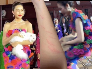 Catwalk với mèo, chị em Hoa hậu bị cào đỏ tay, Đỗ Thị Hà hốt hoảng trên sàn catwalk