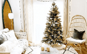 9 cách phối màu cực khéo mà bạn nên thử với cây thông Noel của gia đình