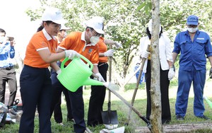 Những hành động thiết thực ứng phó với biến đổi khí hậu, phòng chống thiên tai, cải tạo môi trường sinh thái