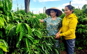Phụ nữ Đắk Lắk thực hiện “3 sạch” góp phần xây dựng nông thôn mới
