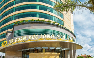 Báo cáo tài chính cho thấy điều gì khi Đức Long Gia Lai tham gia dự án trị giá gần 77.000 tỷ đồng? - Ảnh 2.