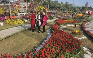 Điểm check-in hút khách dịp Tết Dương lịch tại làng hoa Xuân Quan