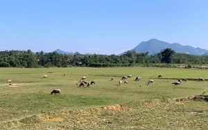 Dự thảo Luật Đất đai (sửa đổi) bỏ khung giá đất: Khó xác định “giá đất phổ biến trên thị trường”