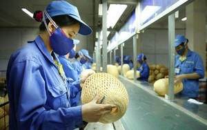 Thu nhập bình quân của lao động Việt Nam tăng 6,9%