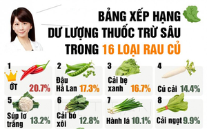 Thực phẩm bẩn - Nỗi lo không của riêng ai: Giải pháp nào cho rau củ sạch?