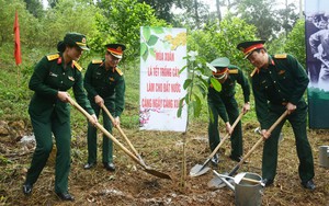 Bộ Tư lệnh Bảo vệ Lăng Chủ tịch Hồ Chí Minh tổ chức Tết trồng cây 