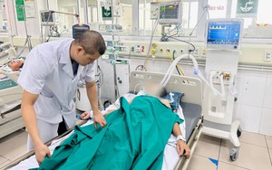 Vì sao số ca tử vong do bệnh dại tăng?