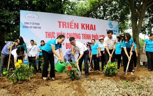 Phú Thọ: Triển khai mô hình “Đường tàu - Đường hoa”