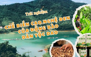 Trải nghiệm: Chế biến cao nghệ đen của đồng bào dân tộc Dao ở Hòa Bình