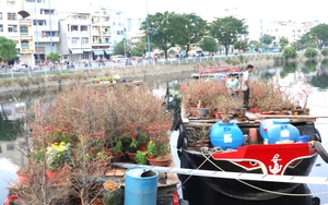 TPHCM: Thuyền ghe nô nức cập chợ hoa xuân 