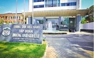 Hoàng Anh Gia Lai hoán đổi nợ thành cổ đông với loạt doanh nghiệp, cá nhân