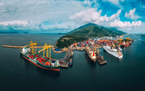 Cảng Đà Nẵng muốn nhận thêm dự án không qua đấu giá