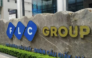 FLC họp cổ đông bất thường để xử lý các khó khăn, bầu nhân sự