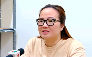 Vì sao doanh nhân Hoàng Hường bị khởi tố?