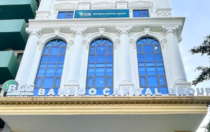 Cổ phiếu BCG bị đình chỉ giao dịch, Bamboo Capital có động thái mới