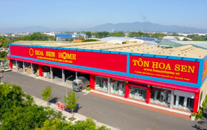 Tập đoàn Hoa Sen giải thể công ty cảng quốc tế 