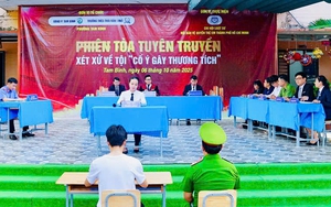 TPHCM: 2.600 học sinh theo dõi tái hiện phiên tòa phòng chống bạo lực học đường