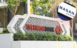 Hệ sinh thái của Techcombank: (Bài 2) Mối quan hệ Techcombank - Masan nhìn từ sở hữu và tín dụng