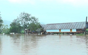 Tập trung ứng phó với lũ trên sông Ba ở Đắk Lắk và sông Kôn ở Gia Lai