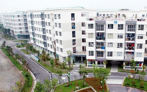 Quy định về việc thành lập, hoạt động của Quỹ nhà ở quốc gia