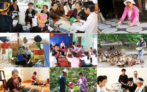 Bình đẳng giới - chìa khóa cho giảm nghèo bền vững ở Việt Nam