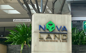 3 công ty thuộc hệ sinh thái Novaland bị phạt vì nguyên nhân gì?