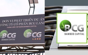 Bamboo Capital muốn tái cấu trúc: Dự kiến thay HĐQT tạo động lực mới