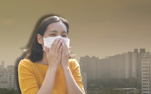 Chuyên gia cảnh báo: Bụi mịn là một trong những “thủ phạm” gây suy thận