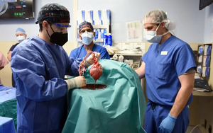 Lợn biến đổi gene: Hy vọng mới cho bệnh nhân cần ghép tạng