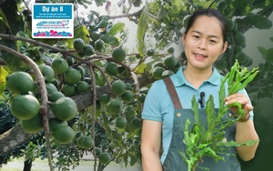 Trải nghiệm: Vào vườn cây 