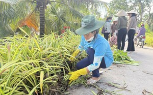 Phụ nữ Vĩnh Long chung tay xây dựng nông thôn mới bằng nhiều mô hình thiết thực, hiệu quả