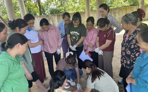 Tháo gỡ rào cản để phụ nữ nông thôn, vùng dân tộc thiểu số giảm nghèo bền vững