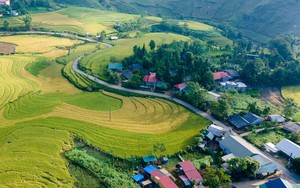 Phấn đấu 