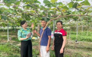 Bắc Ninh: Phụ nữ là nòng cốt, tích cực, chủ động xây dựng nông thôn mới