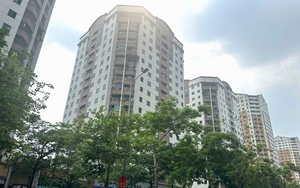 Giá chung cư tại Hà Nội và TP.HCM tăng tới hơn 20-30% trong năm 2025