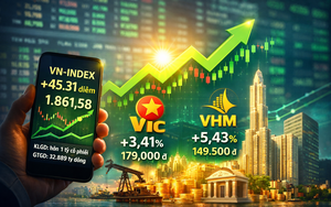 Cổ phiếu ngân hàng - dầu khí - VIC, VHM 