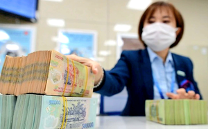 CEO loạt ngân hàng thương mại nói gì về cuộc đua giảm chi phí vốn? - Ảnh 4.