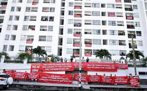 Đại biểu Nguyễn Thị Tuyến: Hài hòa lợi ích, bảo vệ quyền lợi người dân trong chính sách đất đai, nhà ở - Ảnh 5.