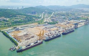 Vì sao giá cổ phiếu Cao su Tây Ninh tăng gần 30% trong khi lợi nhuận giảm? - Ảnh 5.